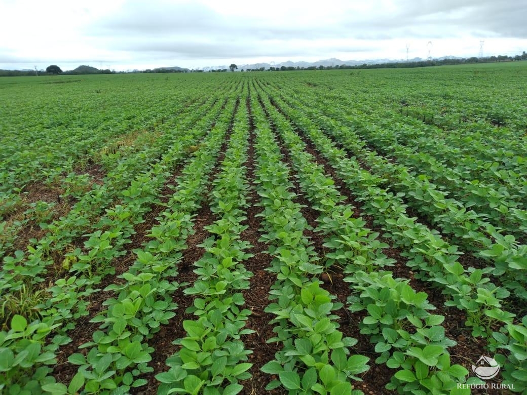 Fazenda à venda com 2 quartos, 18970000m² - Foto 3