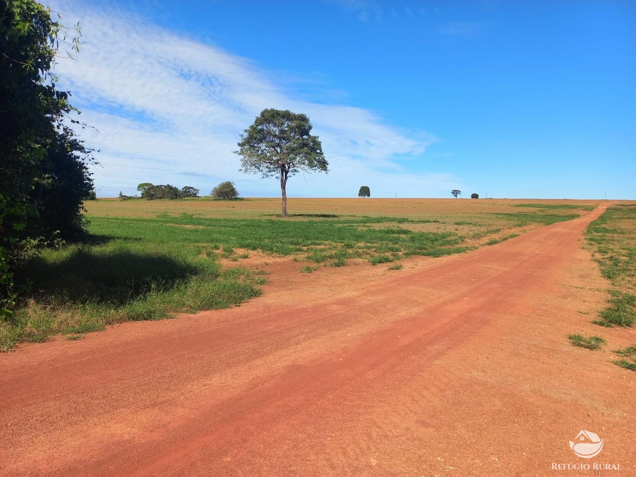 Fazenda à venda com 2 quartos, 18970000m² - Foto 11