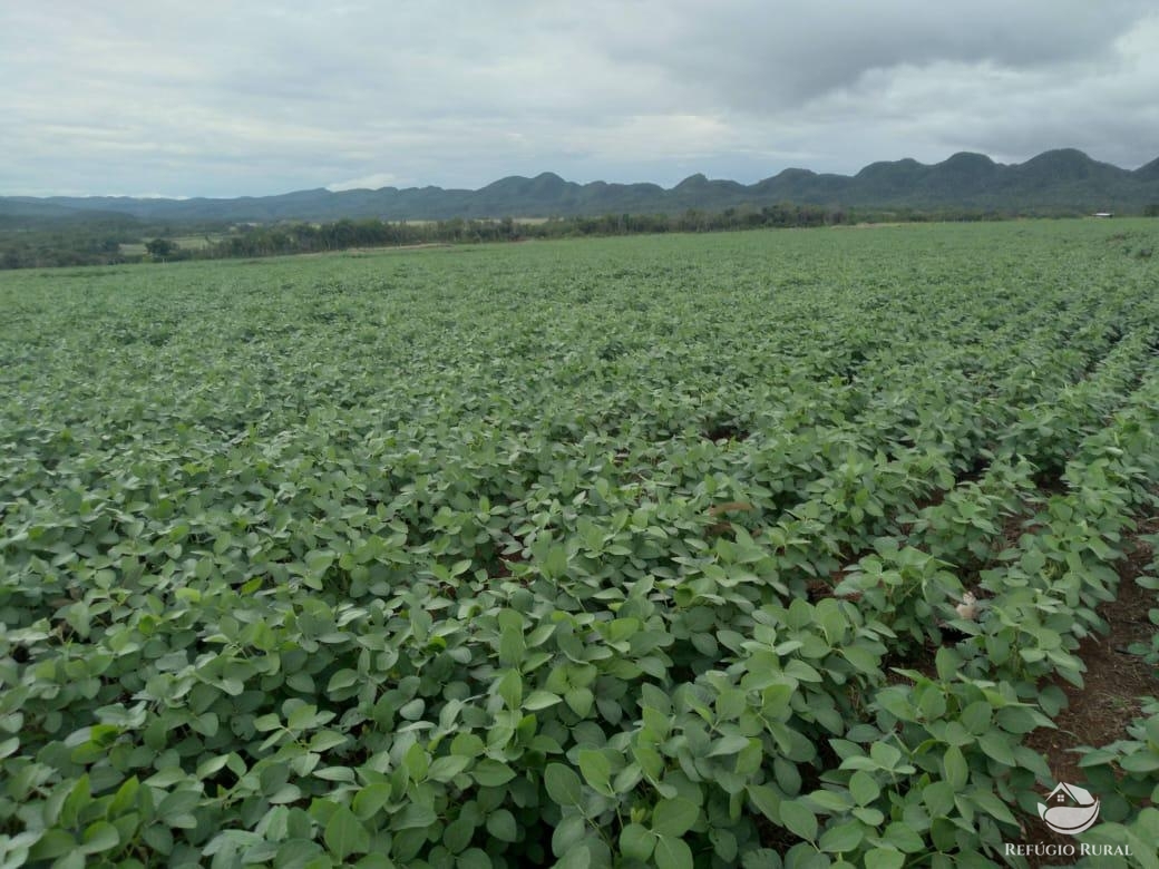 Fazenda à venda com 2 quartos, 18970000m² - Foto 26