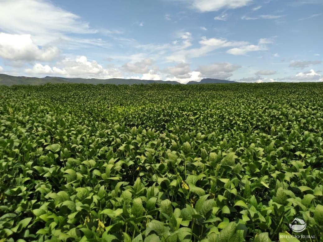 Fazenda à venda com 2 quartos, 18970000m² - Foto 25