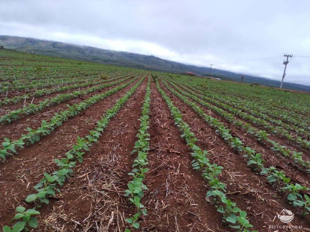 Fazenda à venda com 2 quartos, 18970000m² - Foto 21