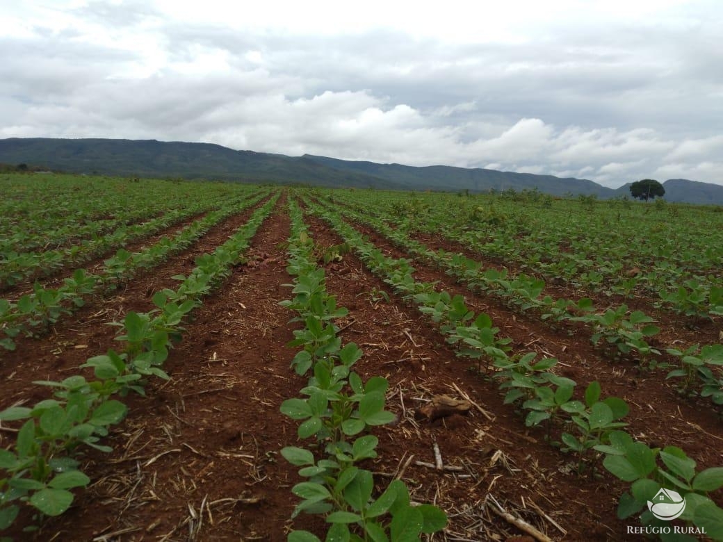 Fazenda à venda com 2 quartos, 18970000m² - Foto 5