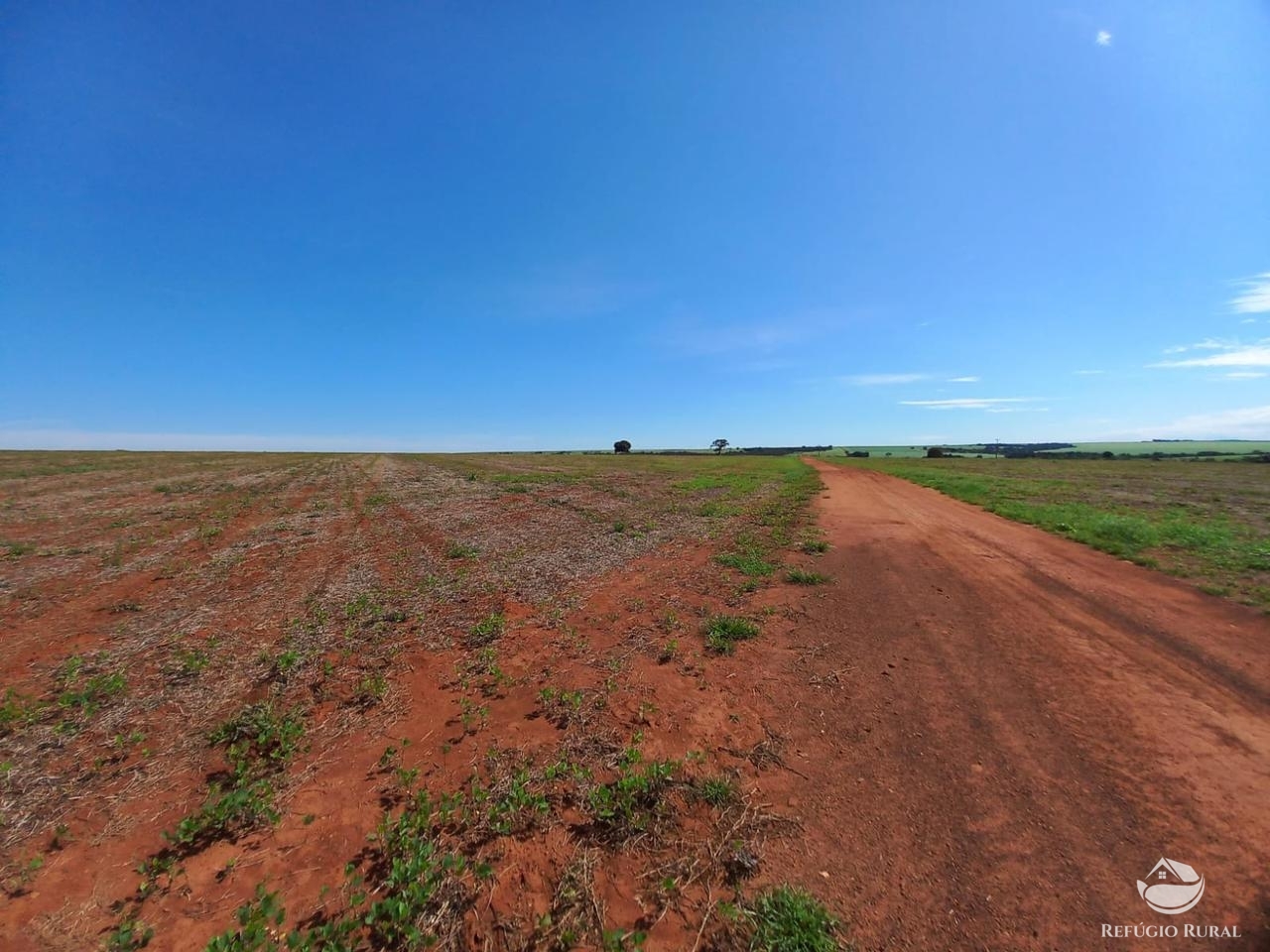 Fazenda à venda com 2 quartos, 18970000m² - Foto 12