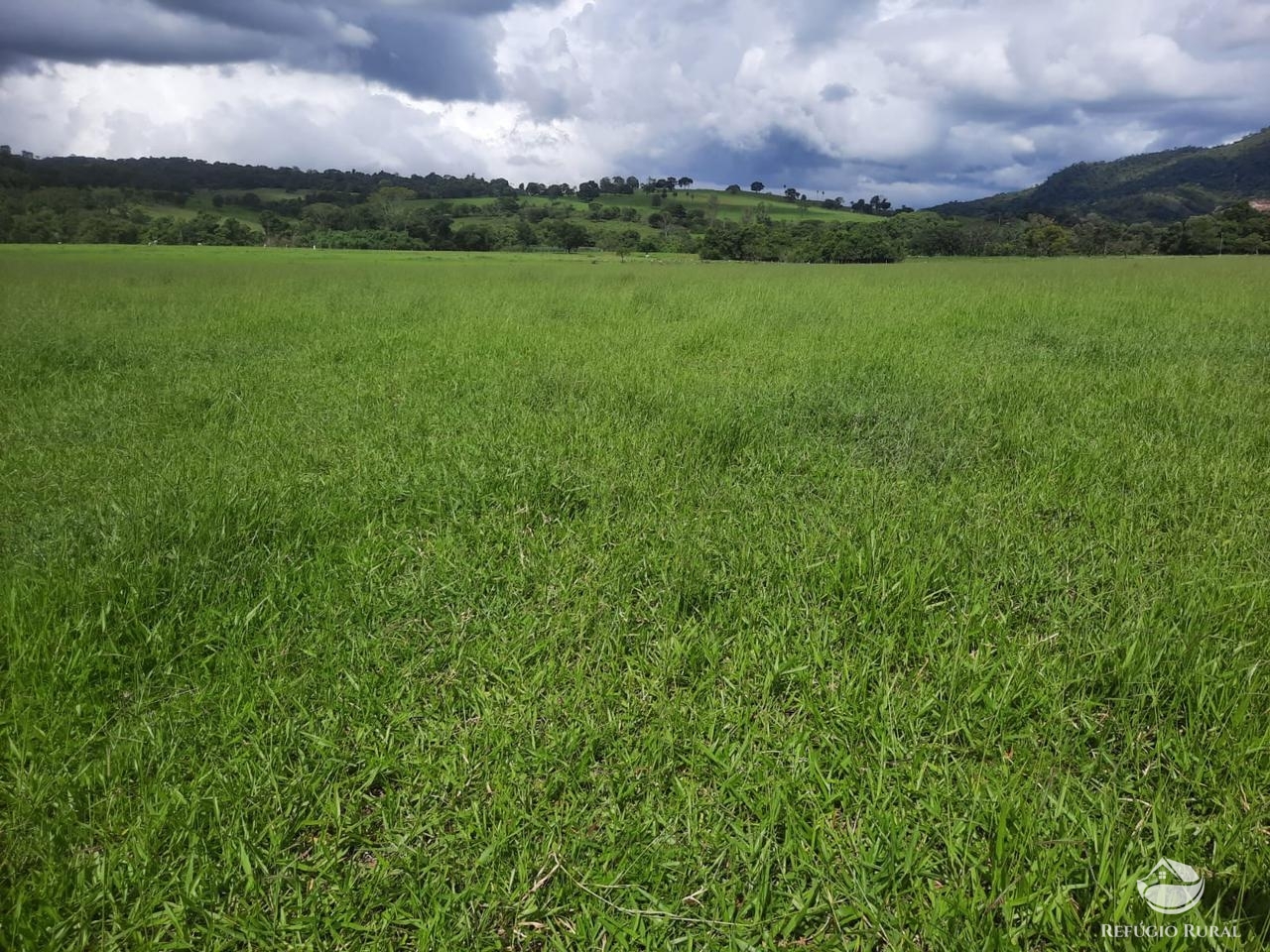 Fazenda à venda com 2 quartos, 18970000m² - Foto 9