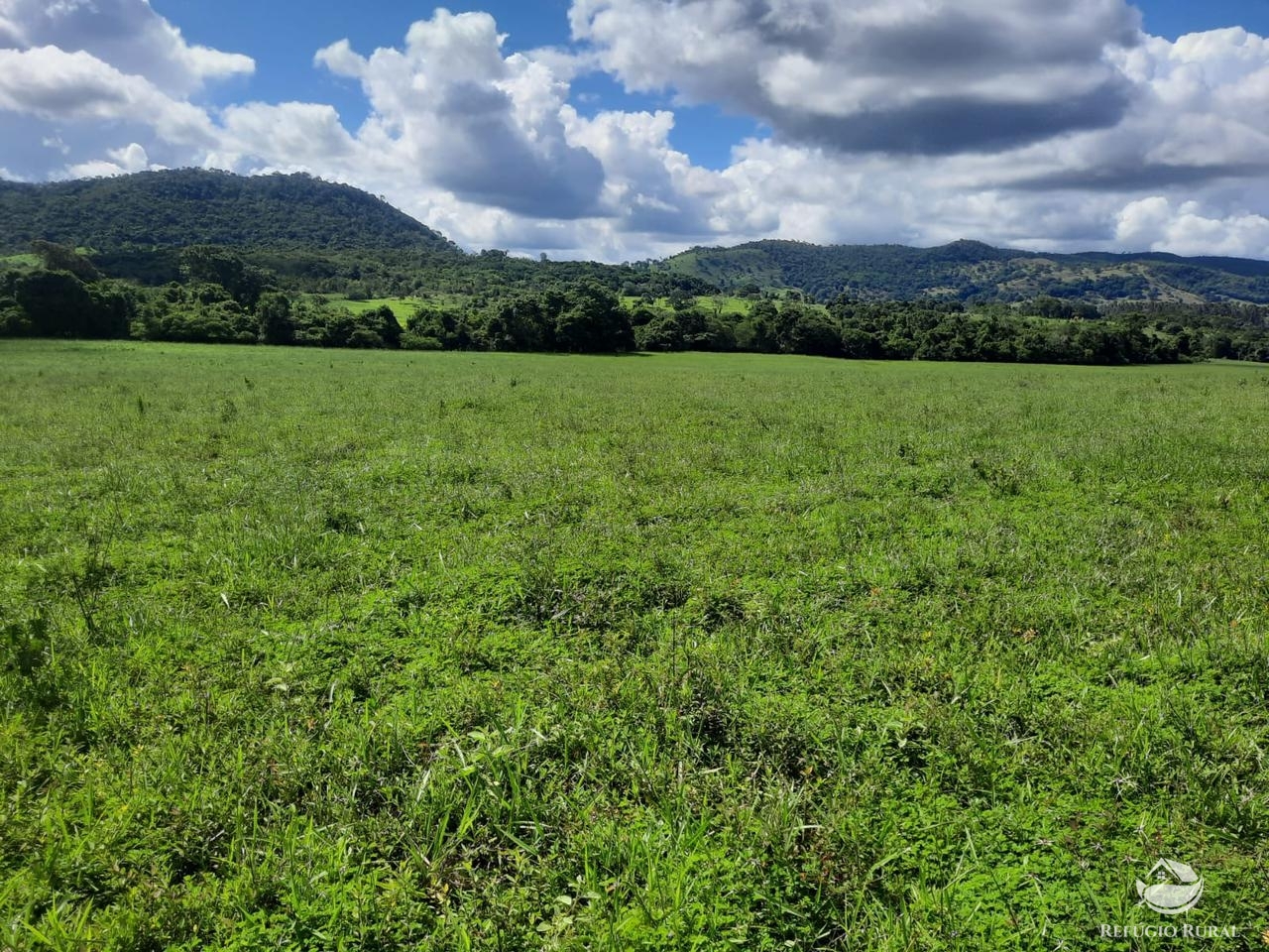 Fazenda à venda com 2 quartos, 18970000m² - Foto 4