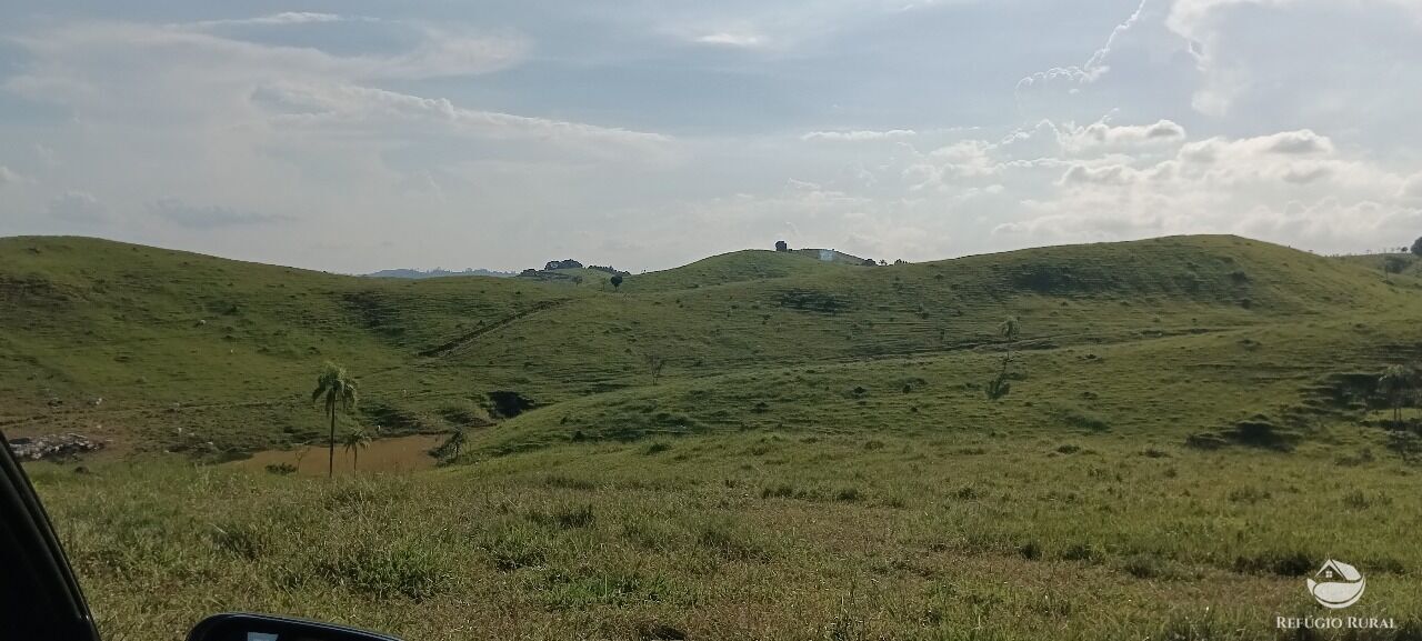 Fazenda, 725 hectares - Foto 16