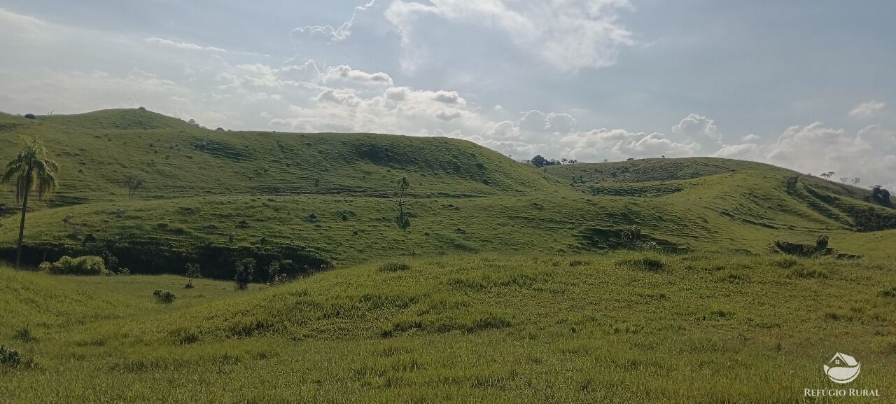 Fazenda, 725 hectares - Foto 7