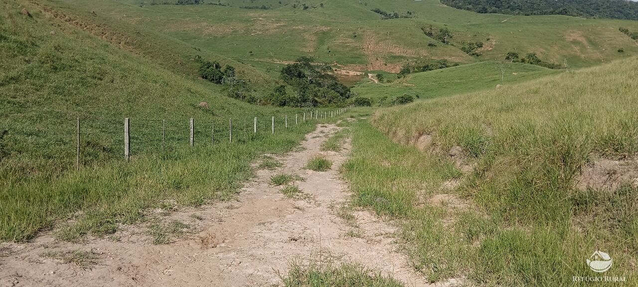 Fazenda, 725 hectares - Foto 37