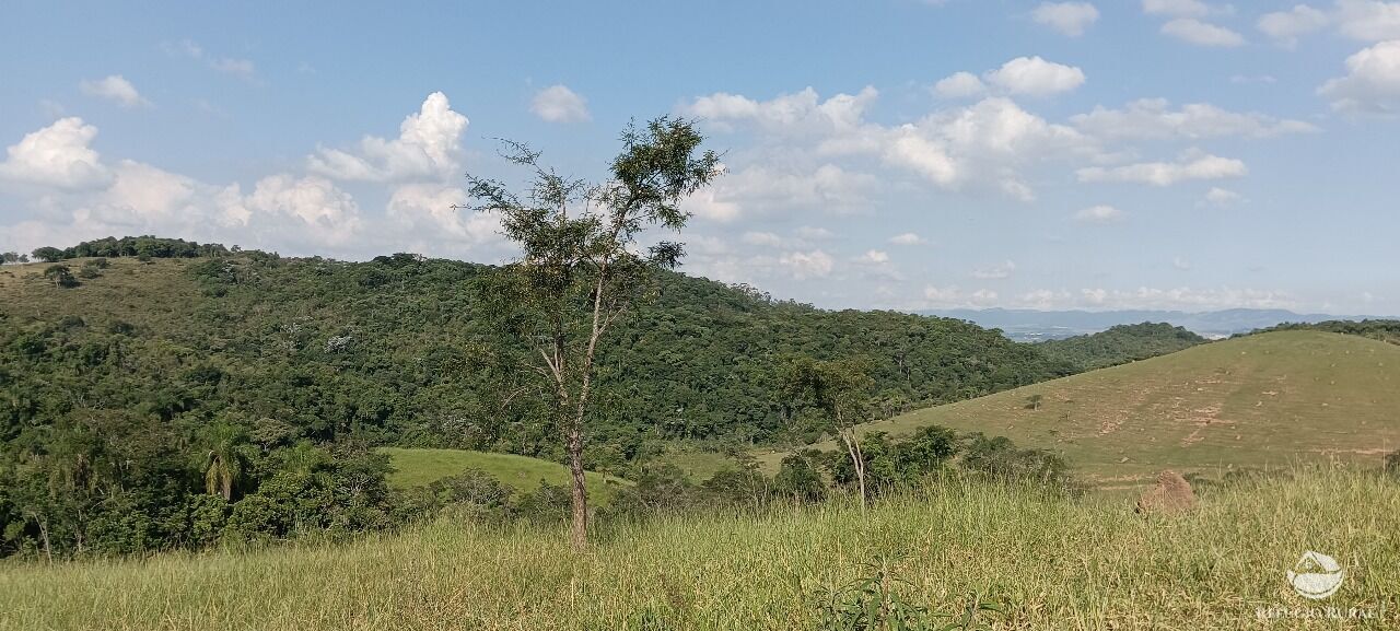 Fazenda, 725 hectares - Foto 15