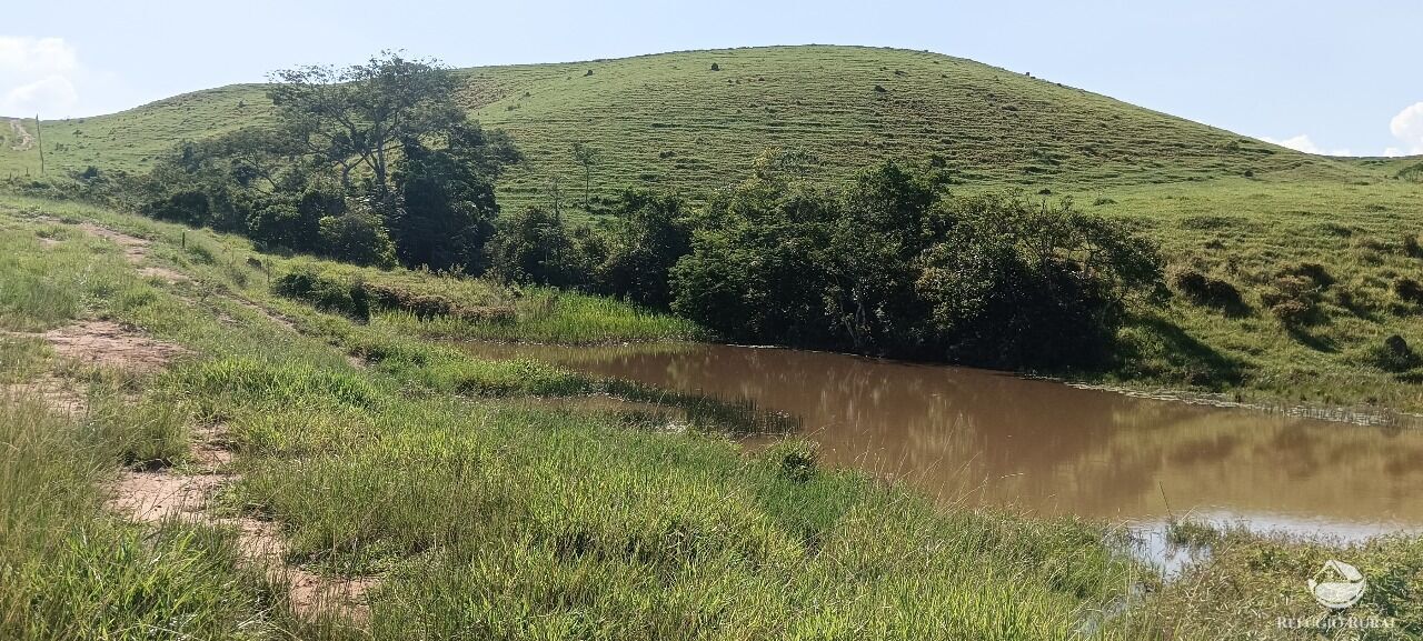 Fazenda, 725 hectares - Foto 33