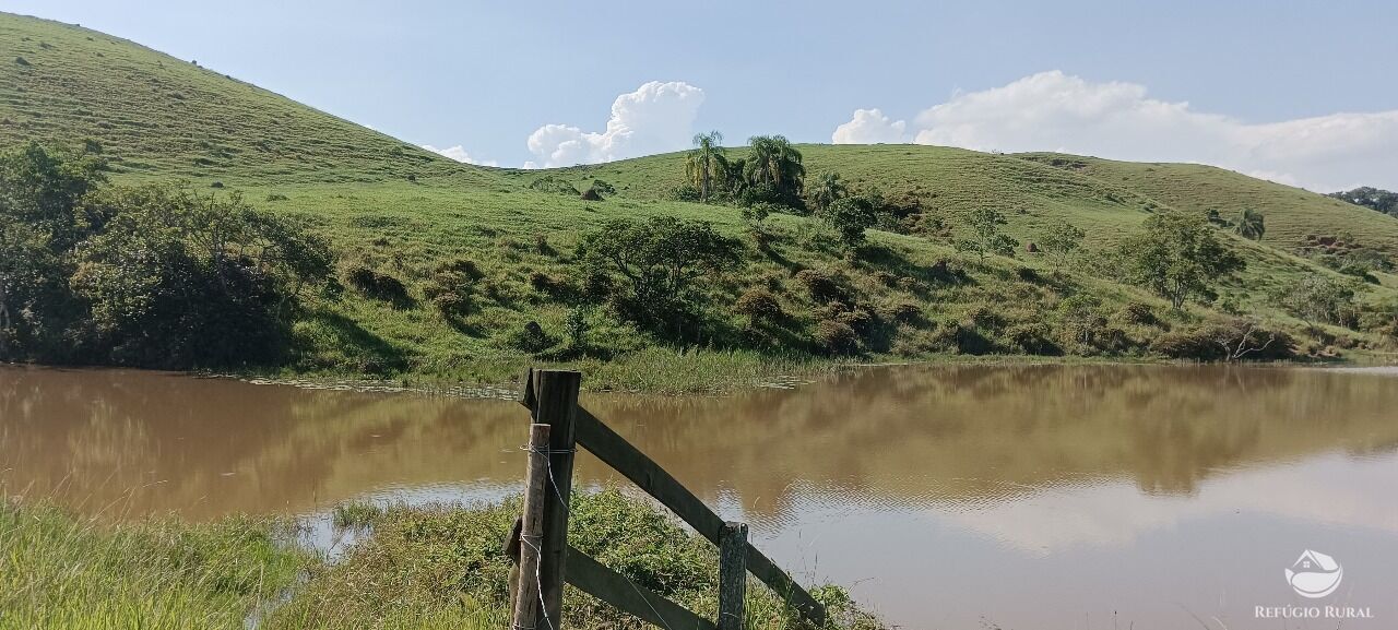 Fazenda, 725 hectares - Foto 6