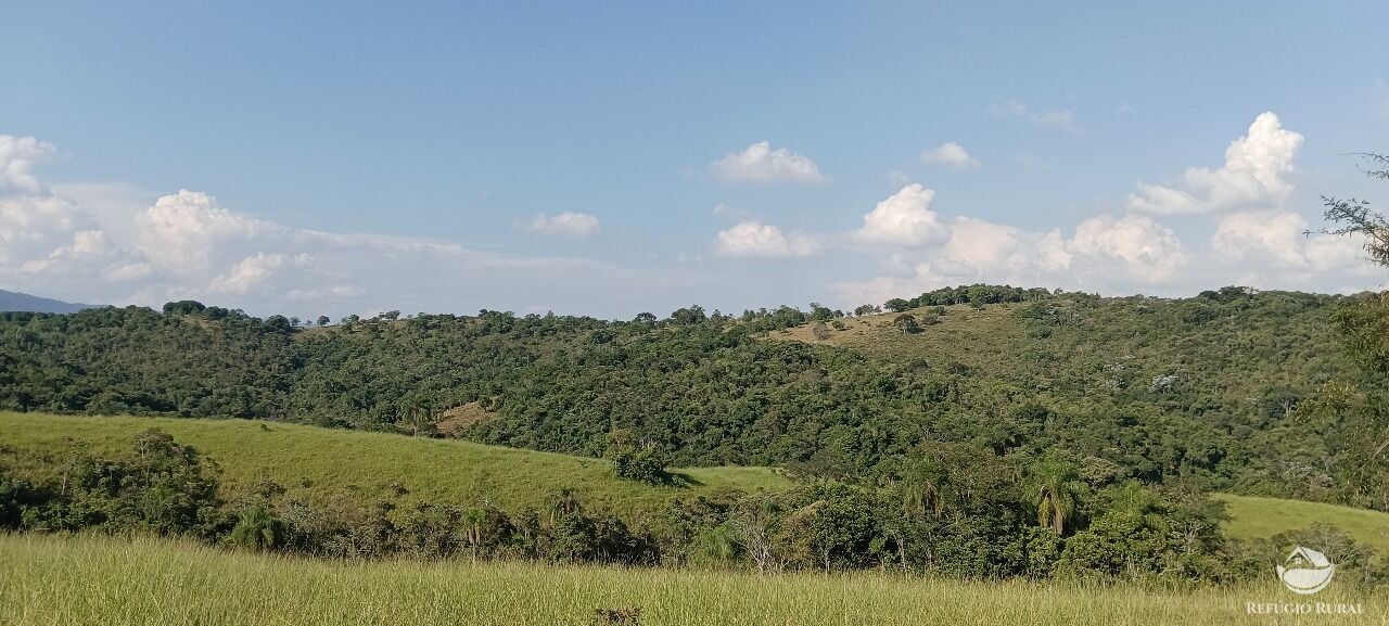 Fazenda, 725 hectares - Foto 23