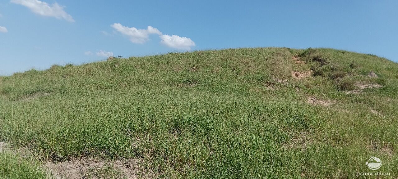 Fazenda, 725 hectares - Foto 36