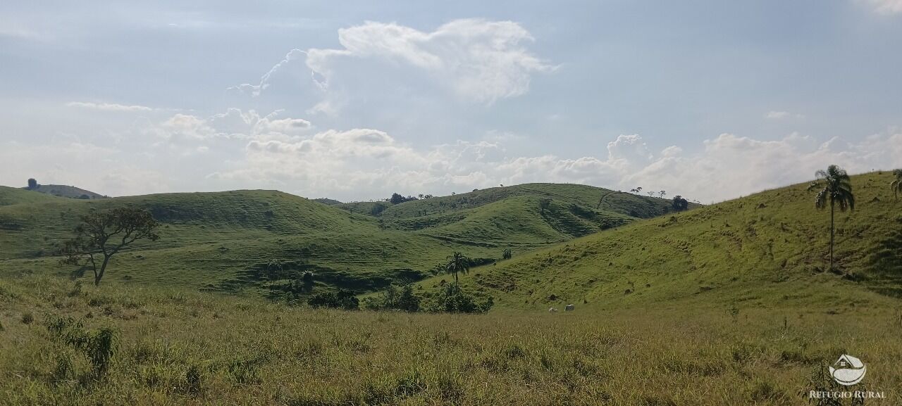 Fazenda, 725 hectares - Foto 14
