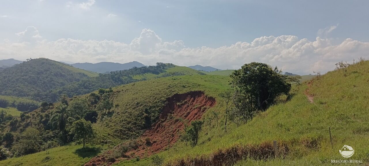 Fazenda, 725 hectares - Foto 50