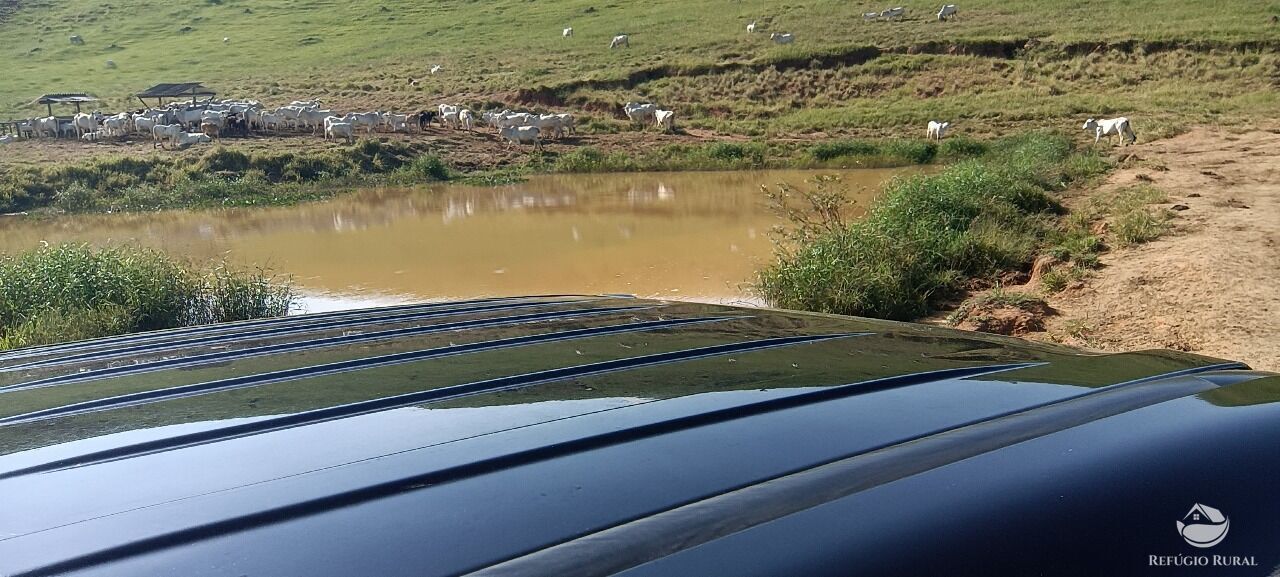 Fazenda, 725 hectares - Foto 17