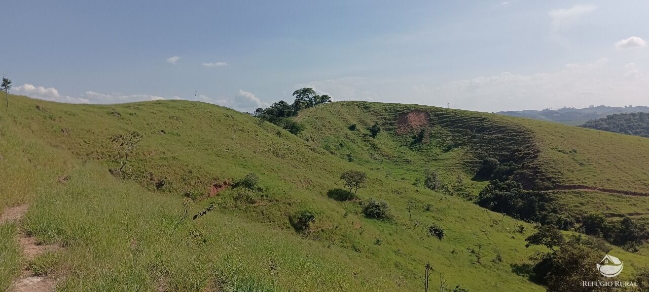 Fazenda, 725 hectares - Foto 46