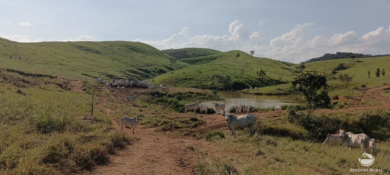 Fazenda, 725 hectares - Foto 2