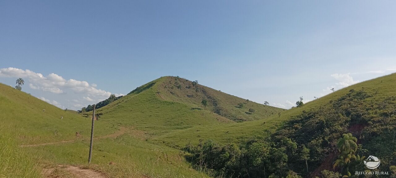 Fazenda, 725 hectares - Foto 31