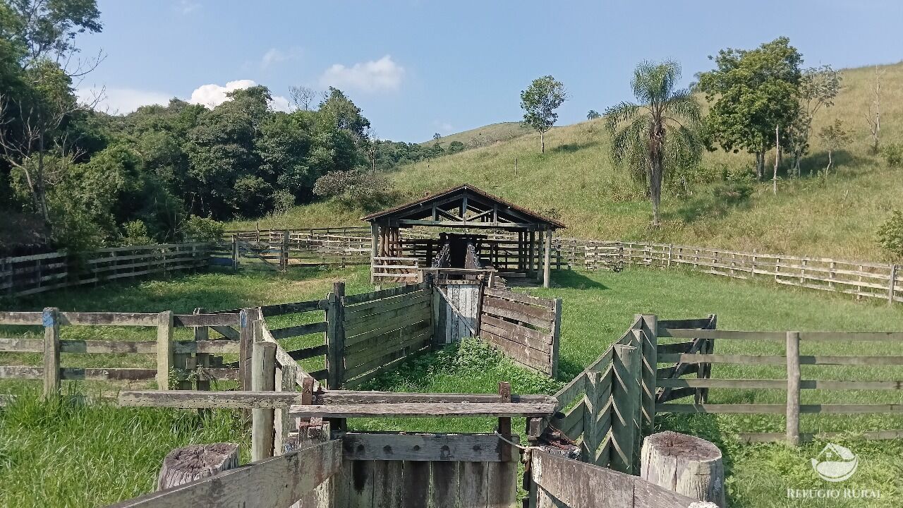 Fazenda, 725 hectares - Foto 48
