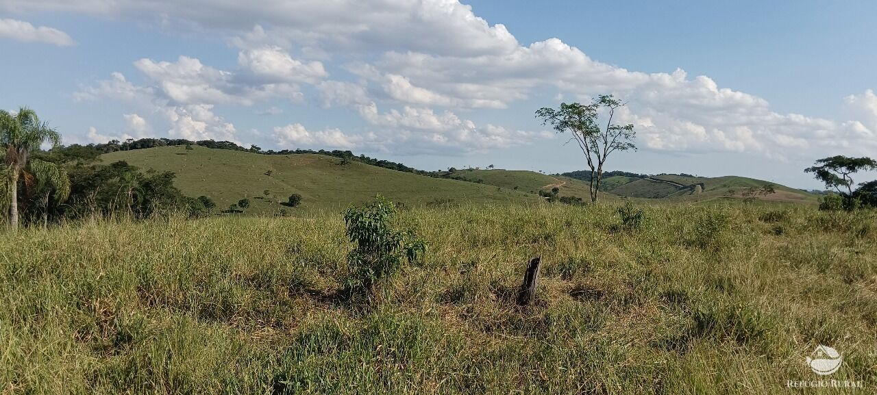 Fazenda, 725 hectares - Foto 19
