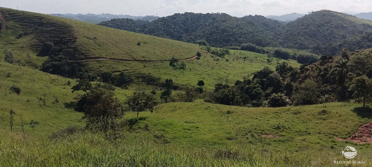 Fazenda, 725 hectares - Foto 49