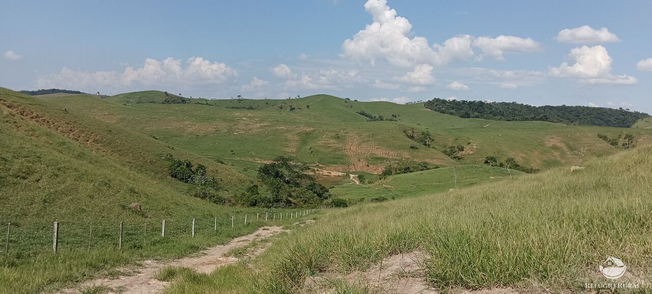 Fazenda, 725 hectares - Foto 8