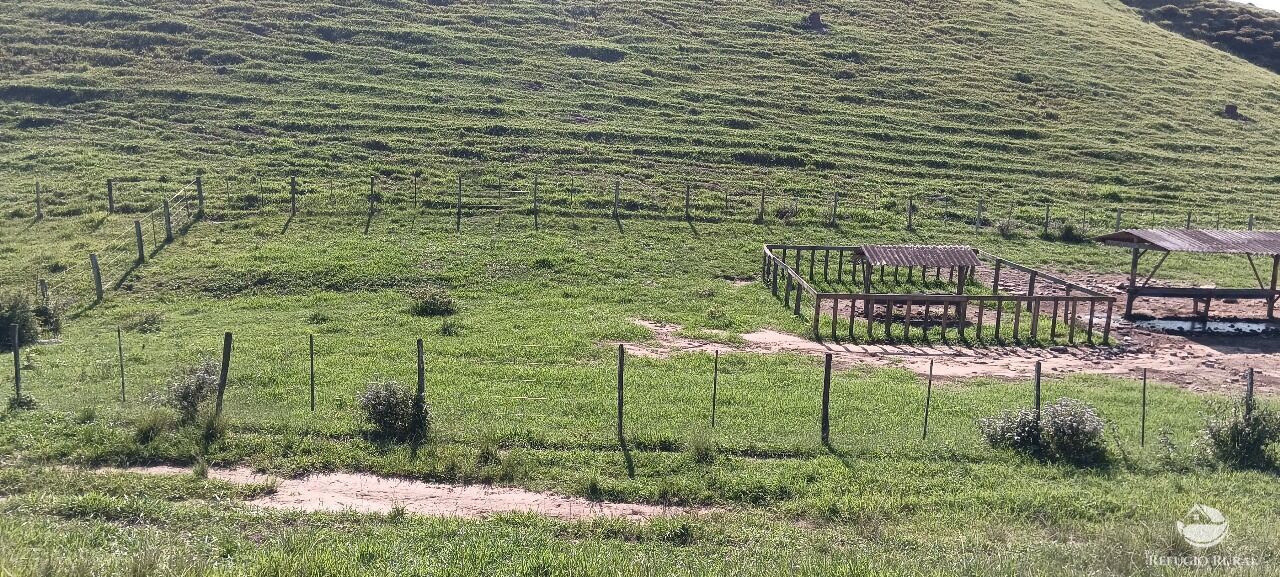 Fazenda, 725 hectares - Foto 35