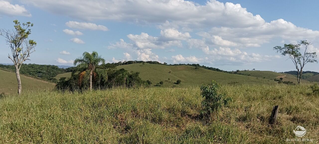 Fazenda, 725 hectares - Foto 12