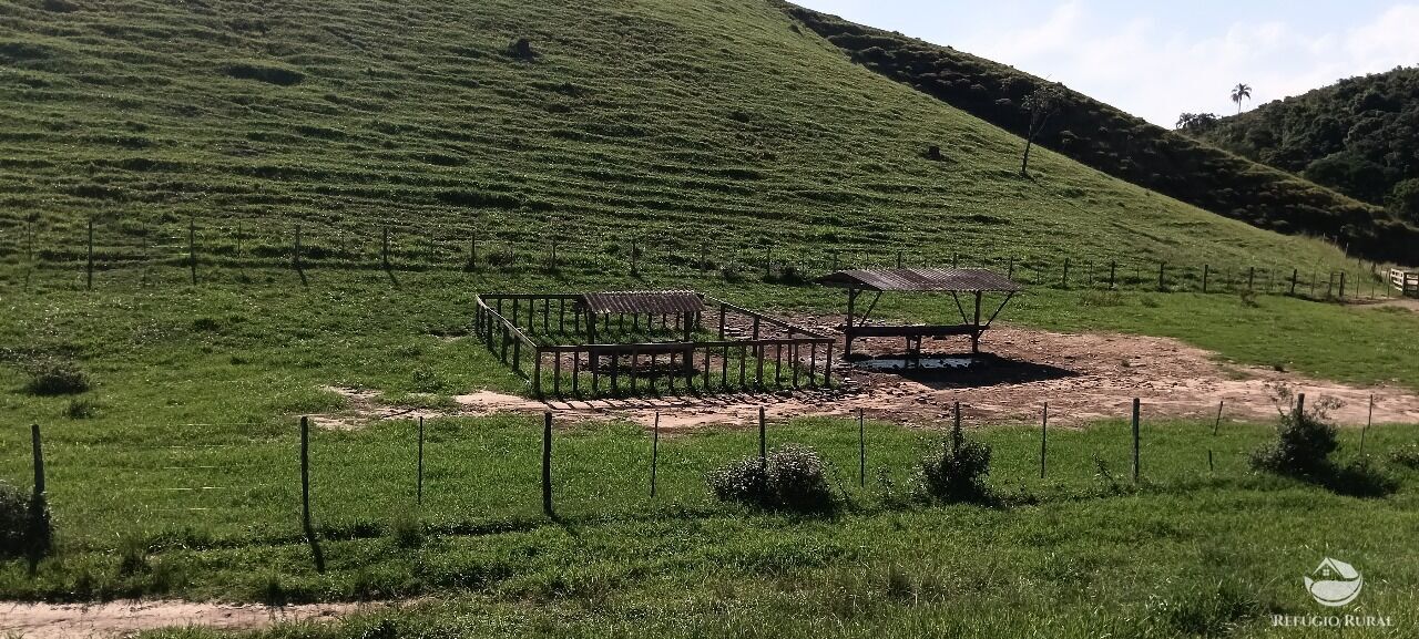 Fazenda, 725 hectares - Foto 34