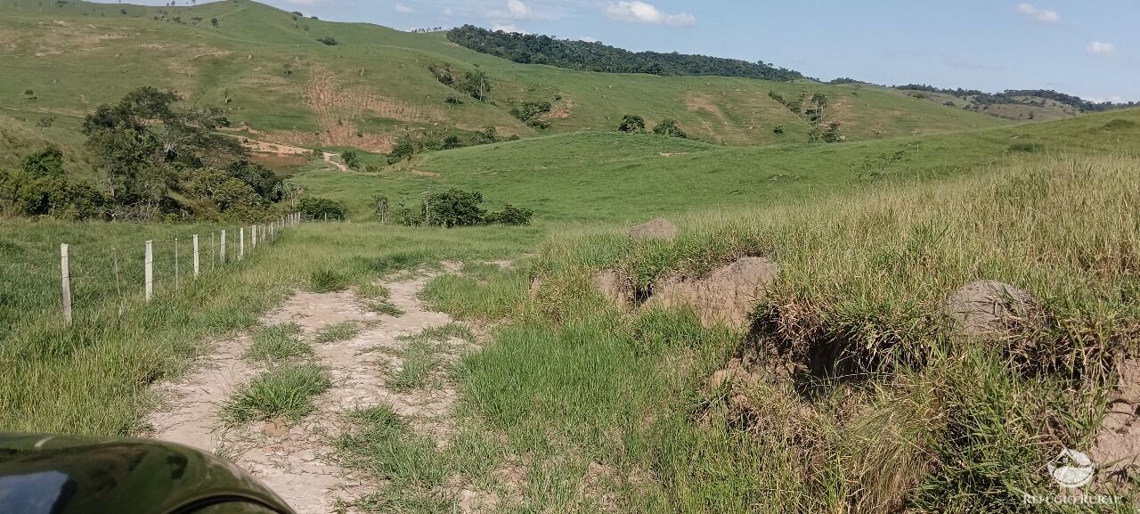 Fazenda, 725 hectares - Foto 38