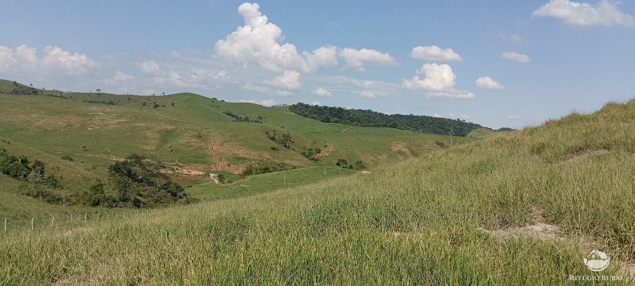 Fazenda, 725 hectares - Foto 41