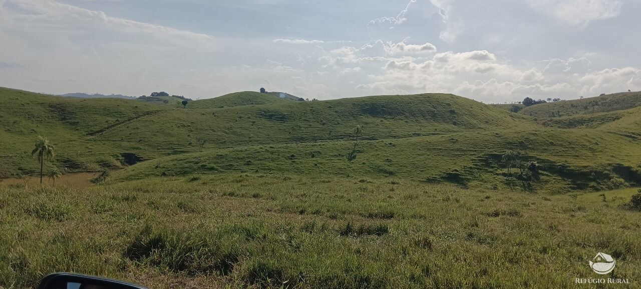 Fazenda, 725 hectares - Foto 18