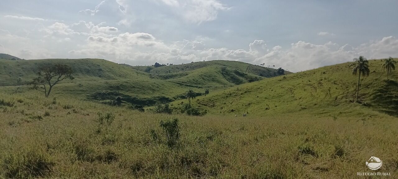 Fazenda, 725 hectares - Foto 26