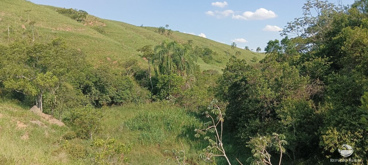 Fazenda, 725 hectares - Foto 42