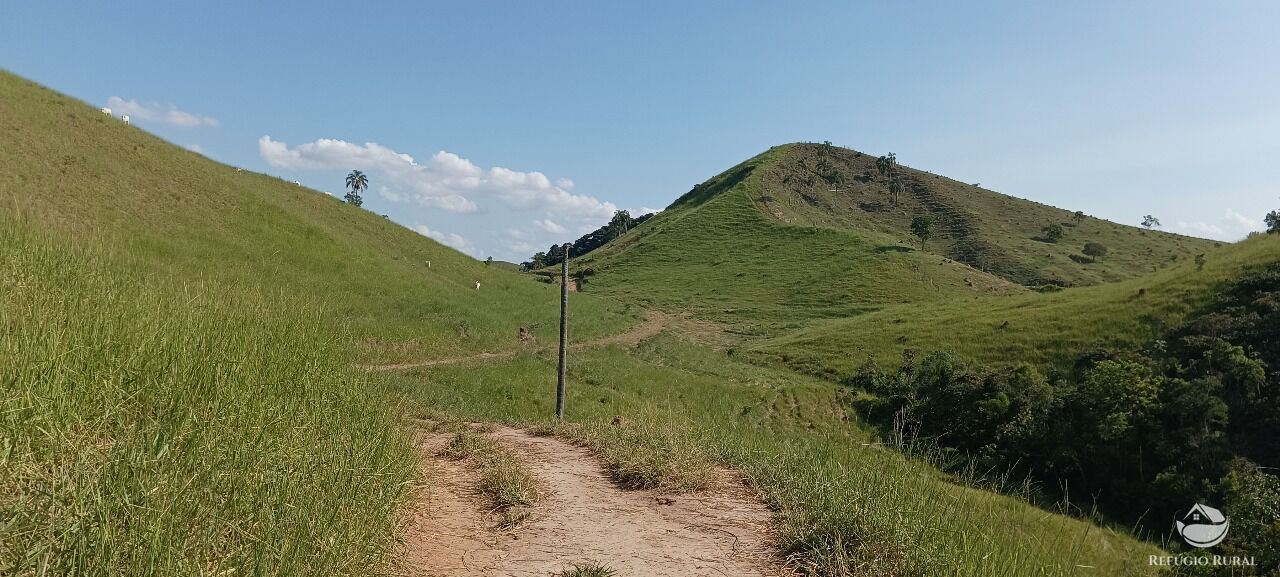 Fazenda, 725 hectares - Foto 27