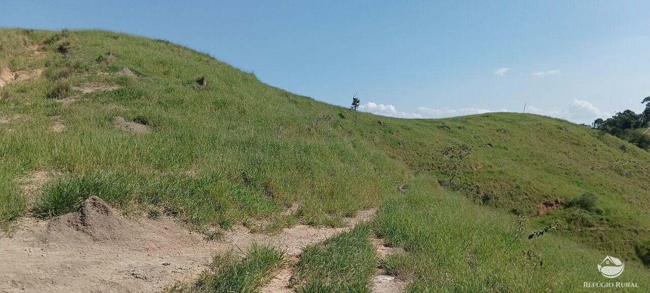 Fazenda, 725 hectares - Foto 45