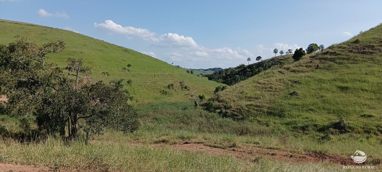 Fazenda, 725 hectares - Foto 25