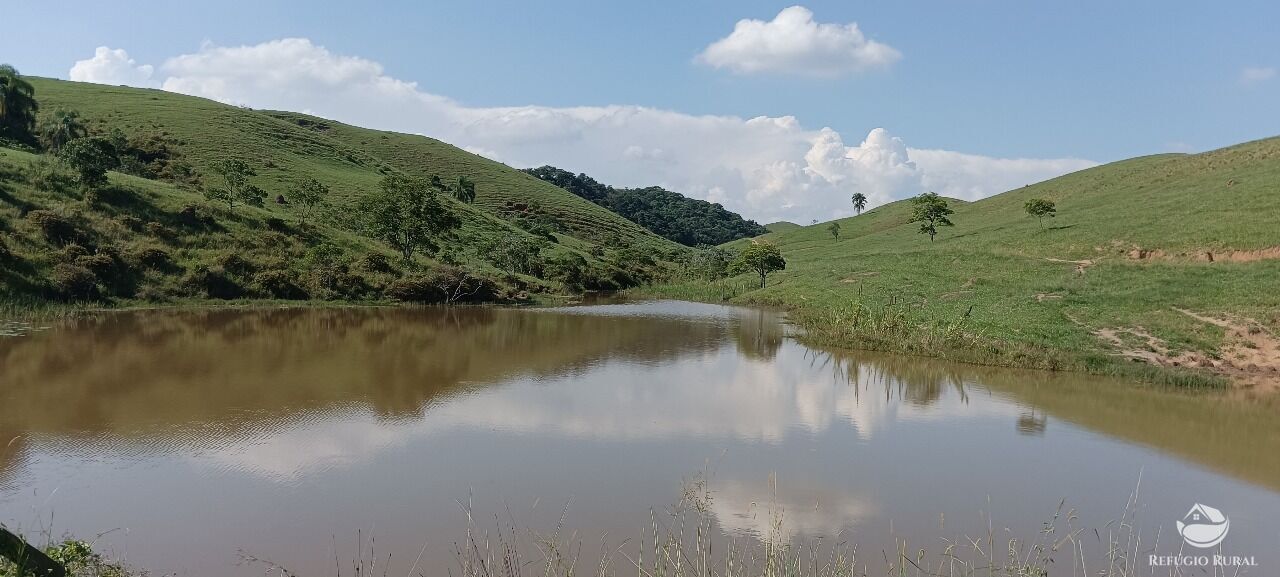 Fazenda, 725 hectares - Foto 1