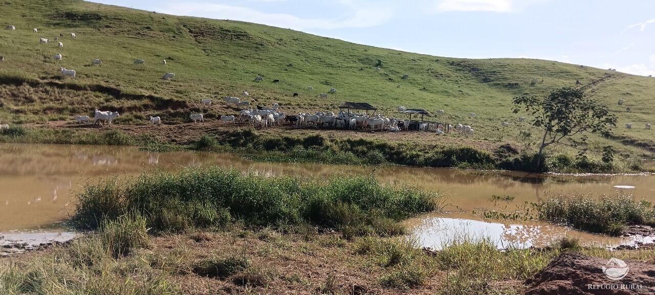 Fazenda, 725 hectares - Foto 13