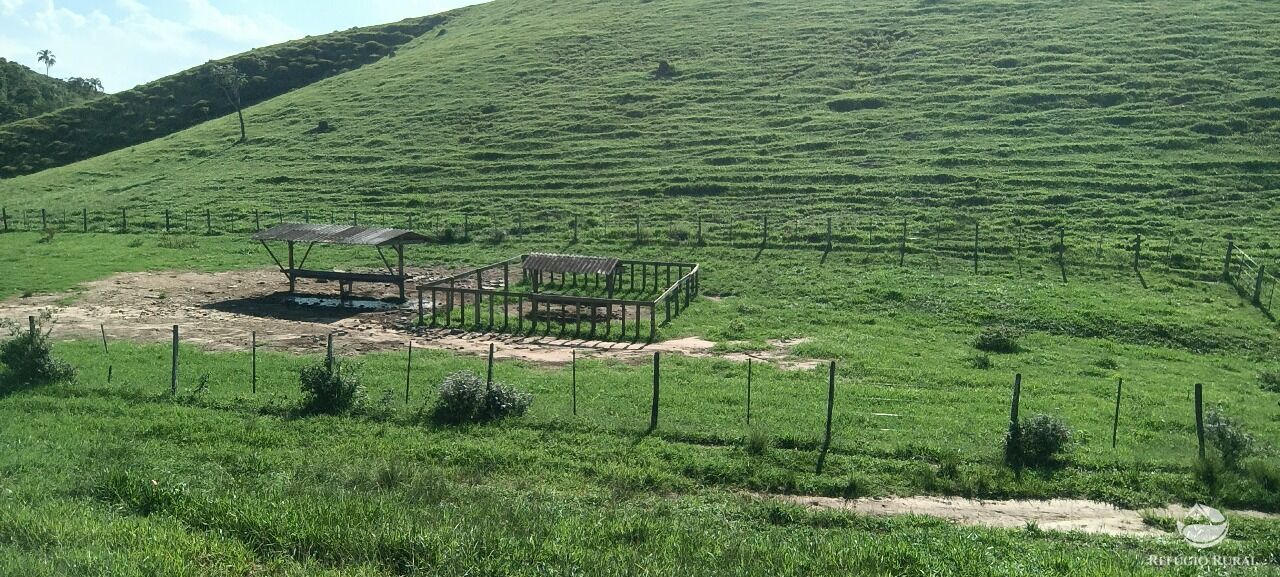 Fazenda, 725 hectares - Foto 5