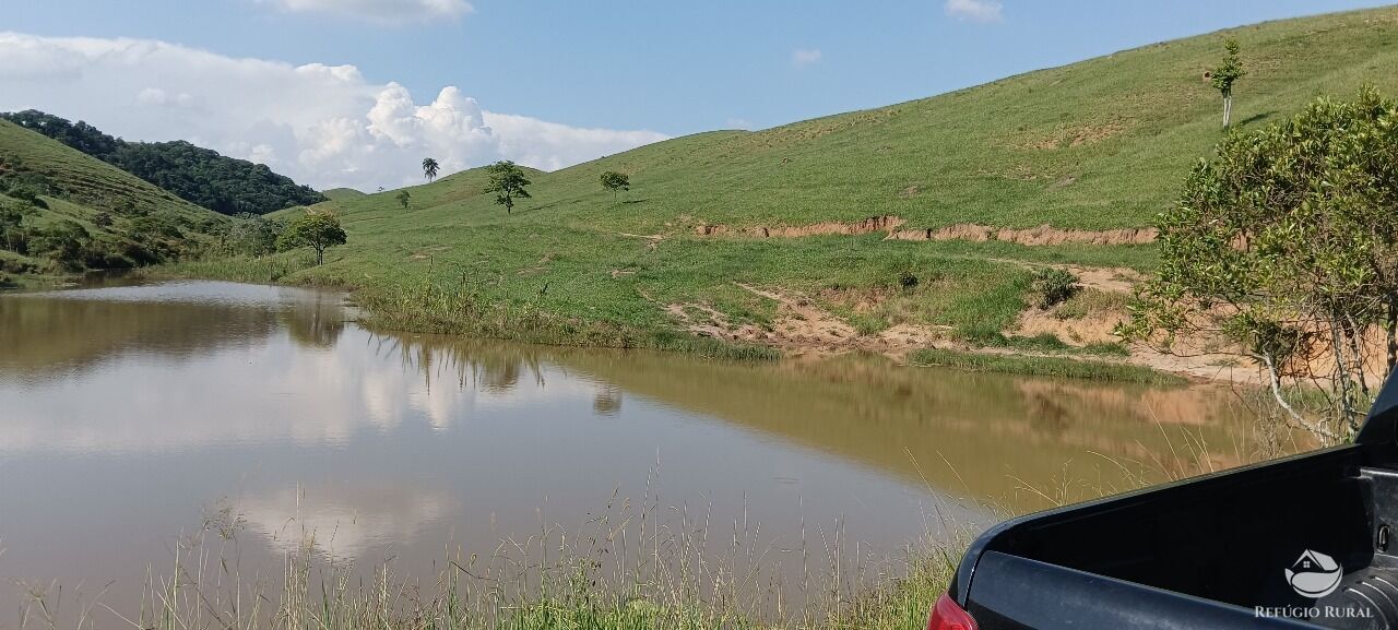 Fazenda, 725 hectares - Foto 32