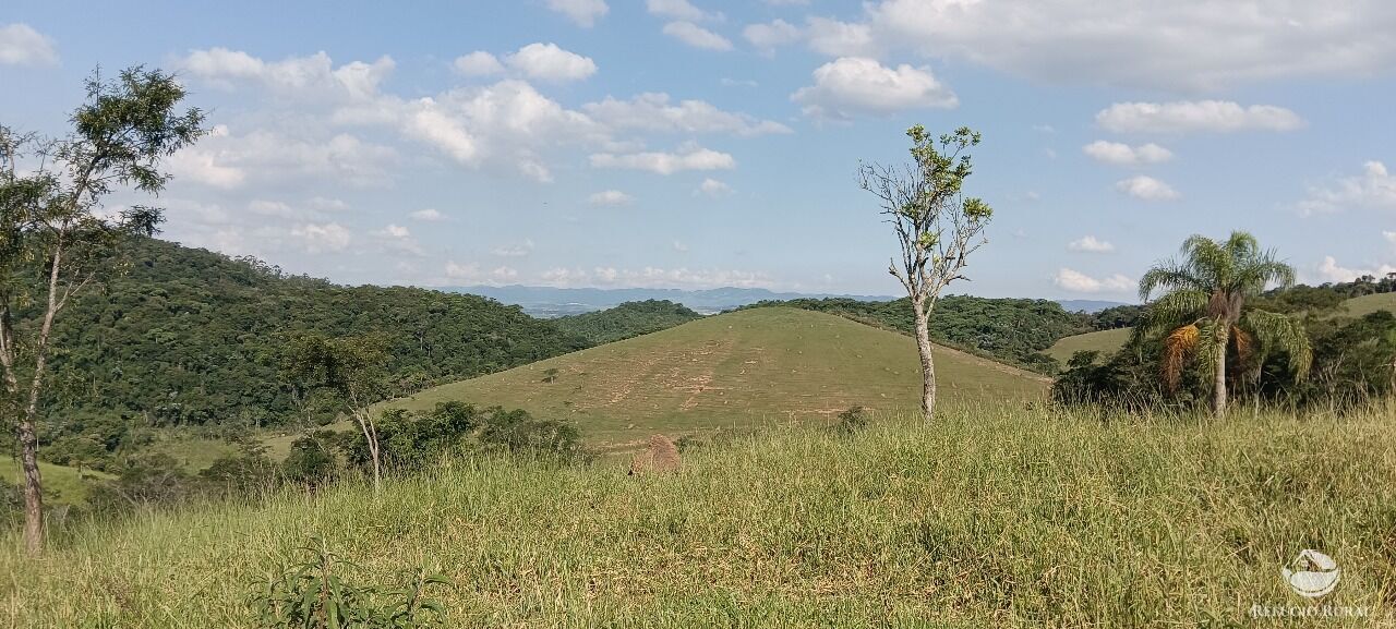 Fazenda, 725 hectares - Foto 21
