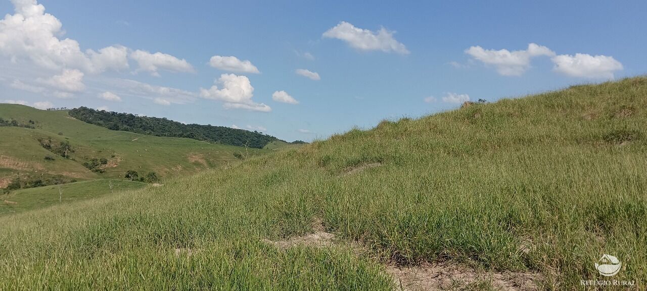 Fazenda, 725 hectares - Foto 44