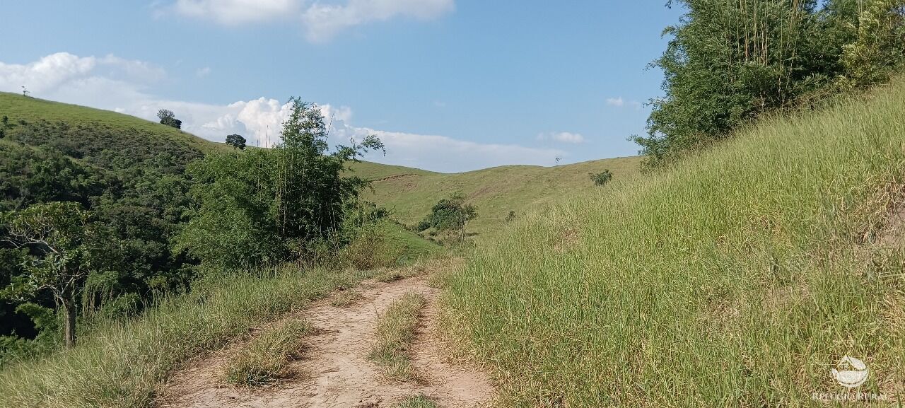 Fazenda, 725 hectares - Foto 24