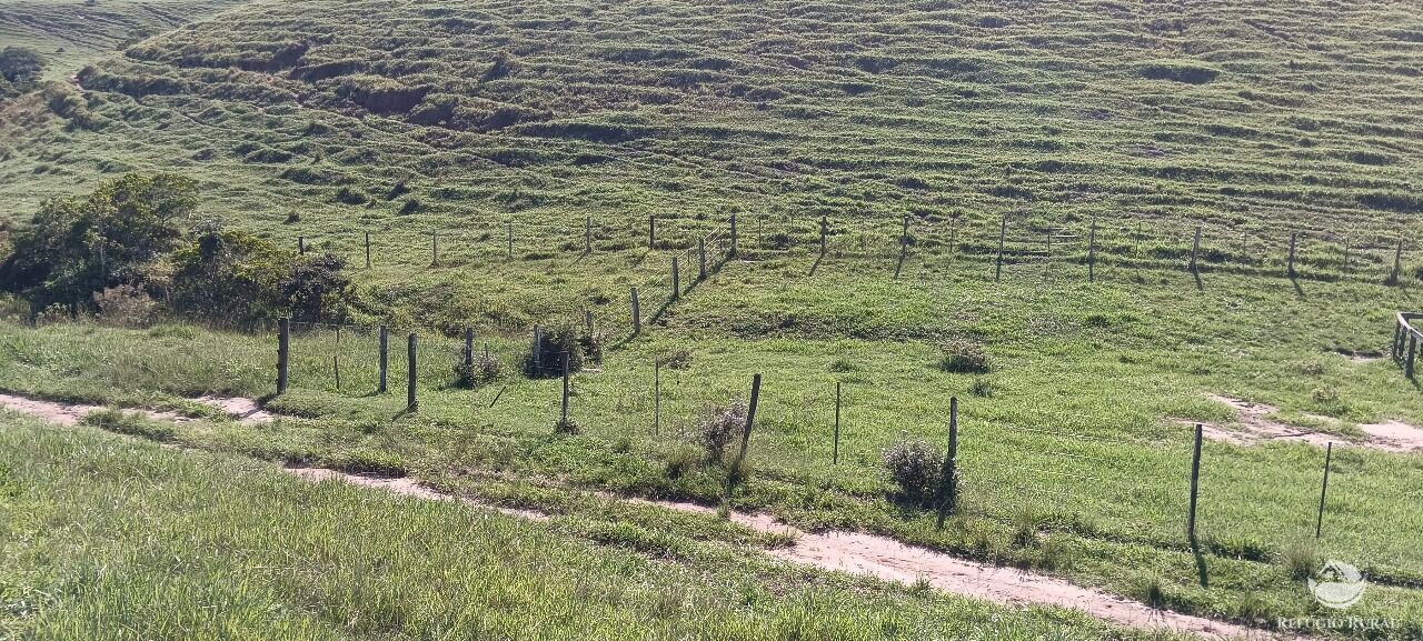 Fazenda, 725 hectares - Foto 43