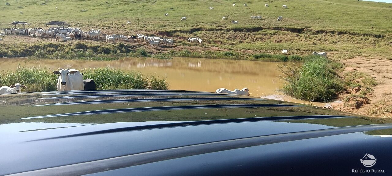 Fazenda, 725 hectares - Foto 20