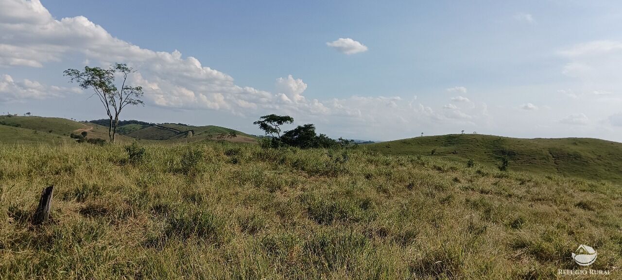 Fazenda, 725 hectares - Foto 11