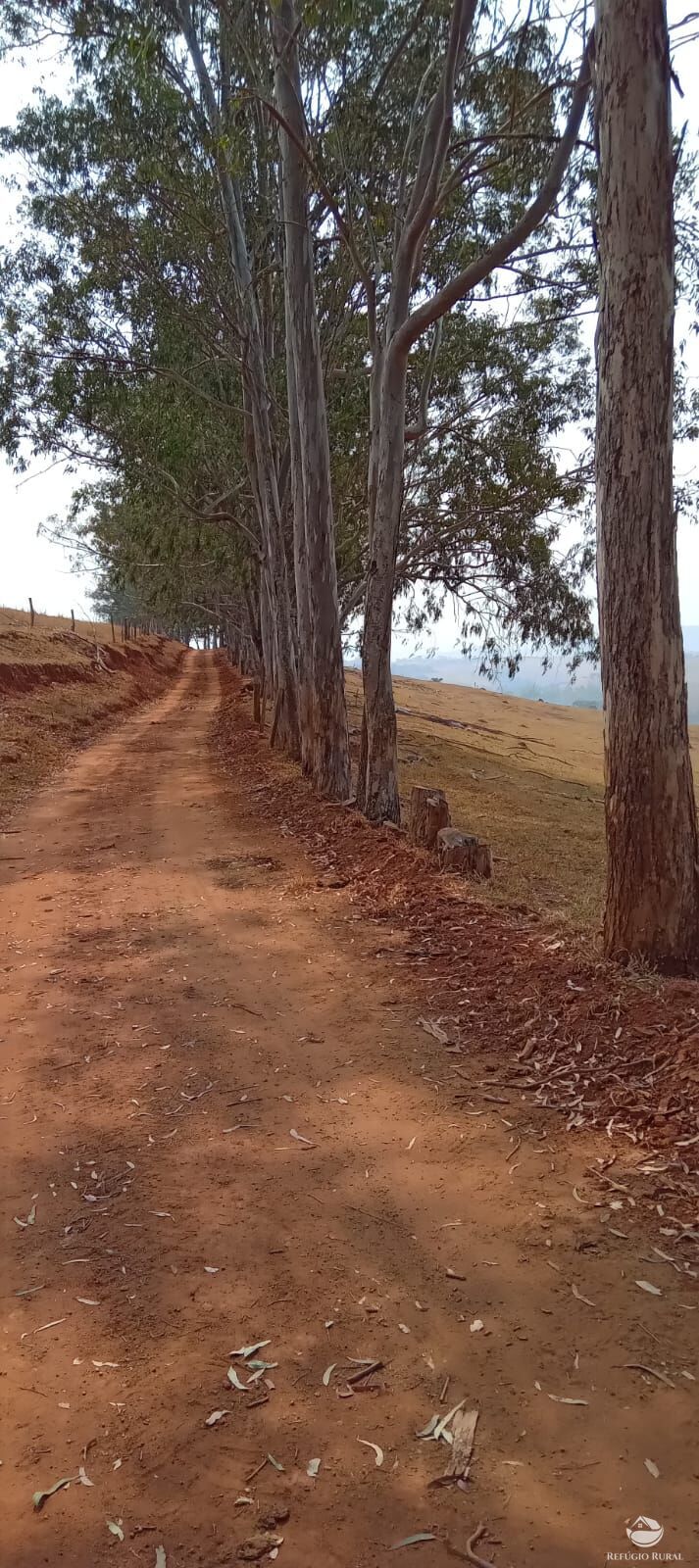 Fazenda à venda com 2 quartos, 774400m² - Foto 43