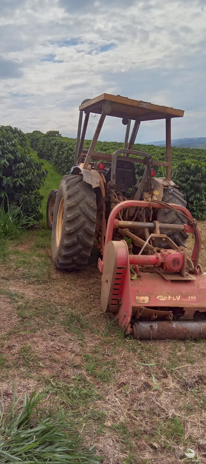 Fazenda à venda com 2 quartos, 774400m² - Foto 37